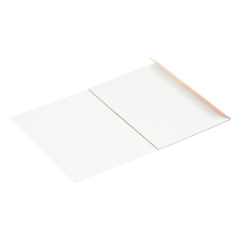 Папка для акварели, 10л., А3 Мульти-Пульти, 200 г/м2, "Енот в Волшебном мире