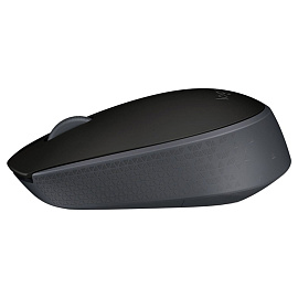 Мышь беспроводная Logitech M171 черная (910-004643/910-004424)
