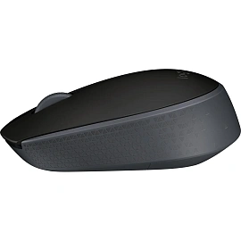 Мышь беспроводная Logitech M171 черная (910-004643/910-004424)