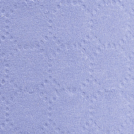 Бумага протирочная в рулонe Luscan Professional W1 200 листов 24.5x26 см голубая 2-слойная