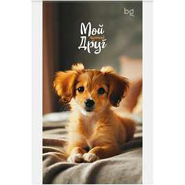 Блокнот А6 48л. на скрепке BG "Микс. Животные