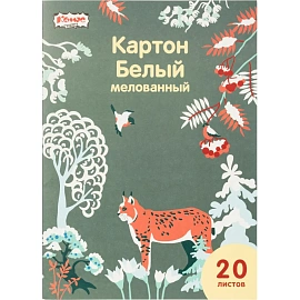 Картон белый Комус Класс Живая природа (A4, 20 листов, мелованный)