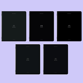 Тетради предметные, КОМПЛЕКТ 5 ПРЕДМЕТОВ, 48 л., SoftTouch, BRAUBERG "РИТМ", 405187