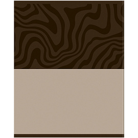 Тетрадь предметная 48л. BG "Single colour" - Русский язык, эконом