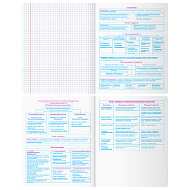 Тетрадь предметная 48л. BG "Скандальности" - Обществознание, глянцевая ламинация