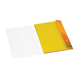 Цветная бумага офсетная А4, Мульти-Пульти, двустор., 16л., 8цв., в папке, "Приключения Енота