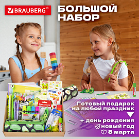 Набор канцелярии подарочный BRAUBERG "AVOCADO", 18 наименований, 43 предмета, 880951