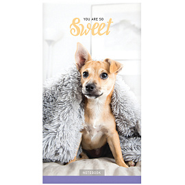 Блокнот А6 24л. на скрепке ArtSpace "Домашние любимцы. Микс фото Блокнот А6 24л. на скрепке ArtSpace "Домашние любимцы. Микс