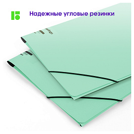 Папка на резинке Berlingo "Instinct" А4, пластик, 600мкм, мятный