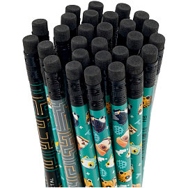 Карандаш ч/г MESHU "Robopets", HB, заточен., с печатью, с ластиком, ассорти, туба