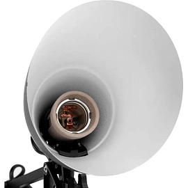 Светильник настольный Camelion KD-331 C02 черный