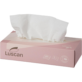 Салфетки косметические Luscan 2-слойные (100 штук в упаковке)