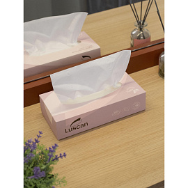 Салфетки косметические Luscan 2-слойные (100 штук в упаковке)