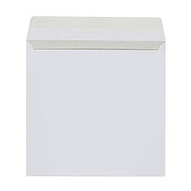 Конверты для CD/DVD (125х125 мм) без окна, бумажные, клей декстрин, КОМПЛЕКТ 25 шт., 201060.25