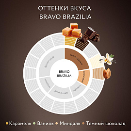 Кофе в зернах Jardin Bravo Brazilia арабика 100% 1 кг (пакет)