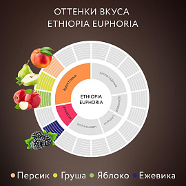 Кофе в зернах Jardin Ethiopia Euphoria арабика 100% 1 кг (пакет)