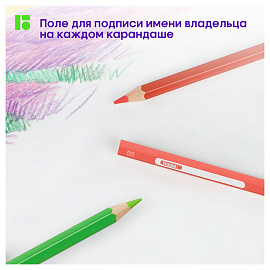 Карандаши цветные Berlingo "SuperSoft. Замки", 36цв., заточен., картон, европодвес