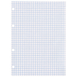 Сменный блок для тетради на кольцах, А5, 120 л., BRAUBERG, "Белый", 403260 фото Сменный блок для тетради на кольцах, А5, 120 л., BRAUBERG, "Белый", 403260