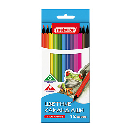 Карандаши цветные ПИФАГОР СТАНДАРТ 12 цветов, трехгранный корпус, 182087 фото Карандаши цветные ПИФАГОР СТАНДАРТ 12 цветов, трехгранный корпус, 182087