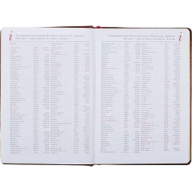 Ежедневник недатированный Attache Sidney Nebraska искусственная кожа А5 136 листов коричневый (золотистый обрез)