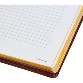 Ежедневник недатированный Attache Sidney Nebraska искусственная кожа А5 136 листов коричневый (золотистый обрез)