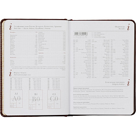 Ежедневник недатированный Attache Sidney Nebraska искусственная кожа А5 136 листов коричневый (золотистый обрез)