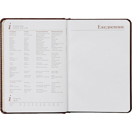 Ежедневник недатированный Attache Sidney Nebraska искусственная кожа А5 136 листов коричневый (золотистый обрез)