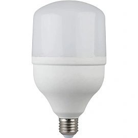 Лампа светодиодная Эра LED POWER T120-40W-4000-E27 40 Вт E27 HW 4000 К 3200 Лм матовая (Б0027005)