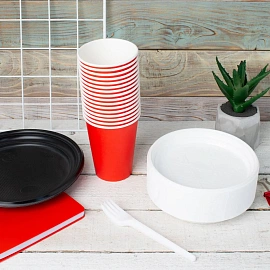 Ложка одноразовая столовая черная 165 мм (100 штук в упаковке)