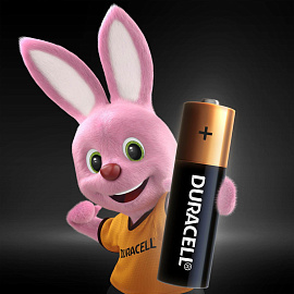 Батарейка AA пальчиковая Duracell Basic блистер (4 штуки в упаковке) фото Батарейка AA пальчиковая Duracell Basic блистер (4 штуки в упаковке)