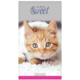 Блокнот А6 24л. на скрепке ArtSpace "Домашние любимцы. Микс фото Блокнот А6 24л. на скрепке ArtSpace "Домашние любимцы. Микс