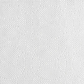 Полотенца бумажные Luscan Maxi 2-слойные белые 2 рулона по 35 метров