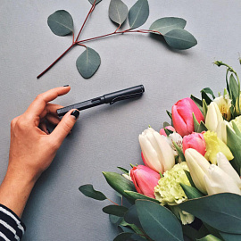 Ручка перьевая Lamy 017 Safari Умбра цвет чернил синий, цвет корпуса умбра (артикул производителя 4000202)