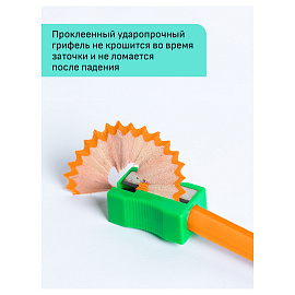 Карандаши цветные Гамма "Хобби. Флористика", 12цв., заточен., ПВХ, европодвес фото Карандаши цветные Гамма "Хобби. Флористика", 12цв., заточен., ПВХ, европодвес