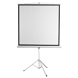 Экран для проектора Digis 200x200 (DSKD-1106) фото Экран для проектора Digis 200x200 (DSKD-1106)