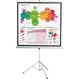 Экран для проектора Digis 180x180 (DSKD-1105)