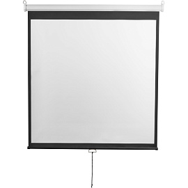 Экран для проектора Digis 200x200 (DSOD-1105)