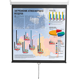 Экран для проектора Digis 240x180 (DSOD-4304)