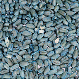 Средство от грызунов Штурм зерно 100 г