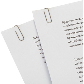 Скрепки канцелярские 22 мм Глобус С22-100 металлические (100 штук в упаковке) фото Скрепки канцелярские 22 мм Глобус С22-100 металлические (100 штук в упаковке)