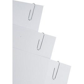 Скрепки канцелярские 50 мм Глобус С50-50 металлические (50 штук в упаковке) фото Скрепки канцелярские 50 мм Глобус С50-50 металлические (50 штук в упаковке)