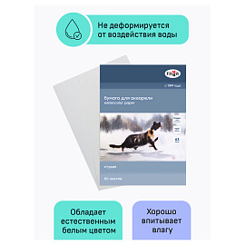 Папка для акварели, 50л., А3, Гамма "Студия", 200г/м2, среднее зерно фото Папка для акварели, 50л., А3, Гамма "Студия", 200г/м2, среднее зерно
