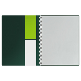 Папка с 20 вкладышами на гребне СТАММ "Диагональ" А4, 14мм, 700мкм, пластик, изумруд