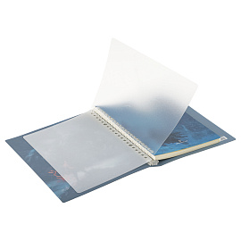 Тетрадь на кольцах А5, 80л., Greenwich Line "Encounter", пластиковая обложка, с разделителями