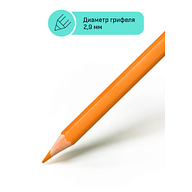 Карандаши цветные Гамма "Хобби. Флористика", 12цв., заточен., ПВХ, европодвес фото Карандаши цветные Гамма "Хобби. Флористика", 12цв., заточен., ПВХ, европодвес