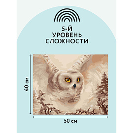 Картина по номерам на холсте ТРИ СОВЫ "Полярная сова", 40*50, с акриловыми красками и кистями