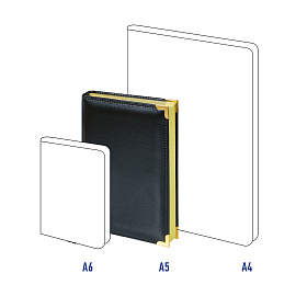 Ежедневник недатированный, А5, 160л., кожа, Delucci, гладкая кожа, золот. срез, черный