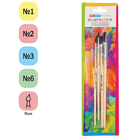 Набор кистей ArtSpace 4шт., Пони, круглые № 2, 3, плоские № 4, 6, блистер, европодвес