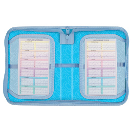 Пенал 1 отделение, 210*130 Мульти-Пульти "Волшебник Изумрудного Города", две откидные секции, ткань