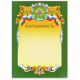 Благодарность А4 230 г/кв.м с тиснением фольгой (А4-07/Б)